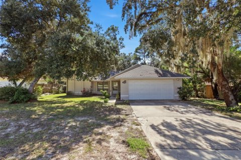 Villa ou maison à Deltona, Floride 3 chambres, 131.92 m2 № 2389336