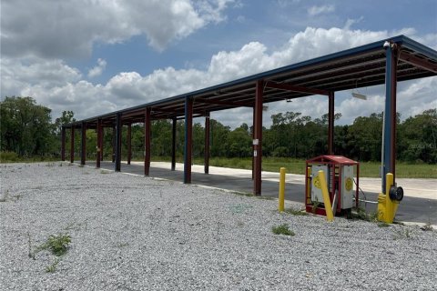 Commercial property in Plant City, Florida 380.9 sq.m. № 1747513 - photo 4