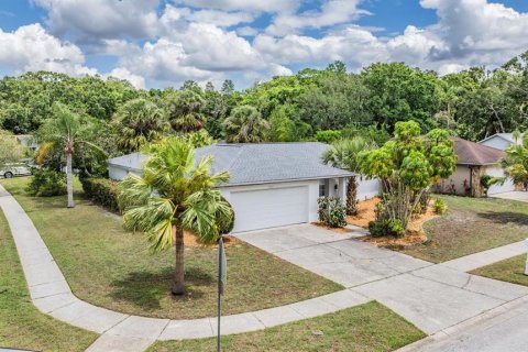 Villa ou maison à vendre à New Port Richey, Floride: 3 chambres, 148.74 m2 № 1687840 - photo 1
