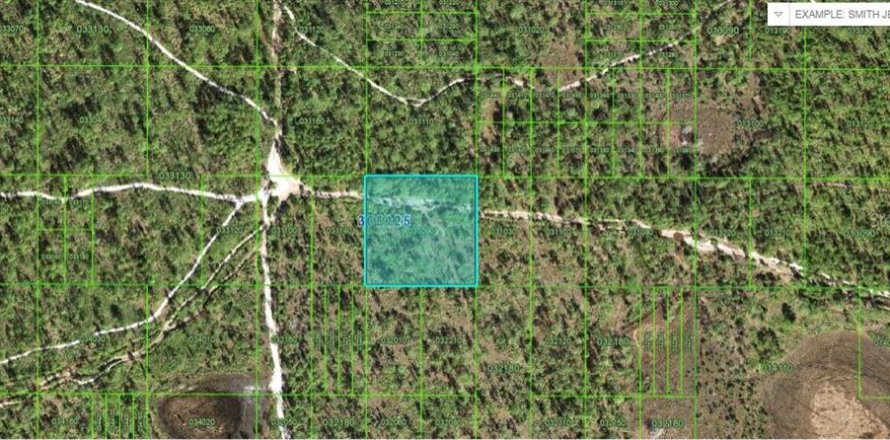 Terreno en Frostproof, Florida № 2227004
