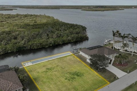 Terreno en venta en Port Charlotte, Florida № 1761032 - foto 10