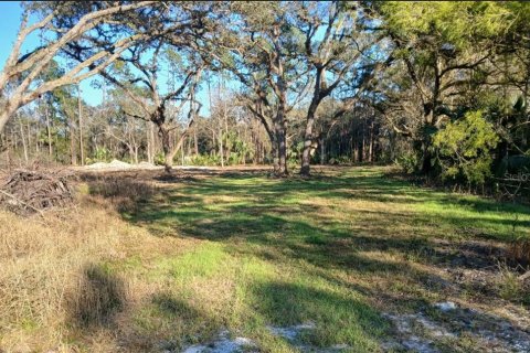 Land in Christmas, Florida № 2139355