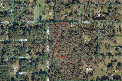 Land in Belleview, Florida № 2101446