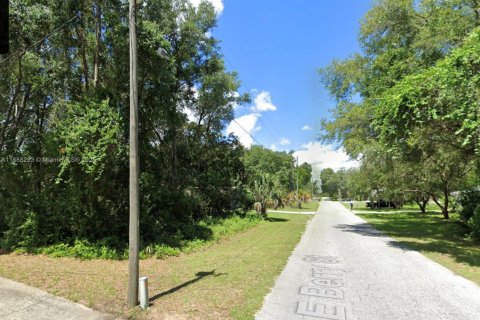 Terreno en venta en Inverness, Florida № 2158586 - foto 4