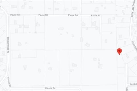 Land in Keystone Heights, Florida № 2163554 - photo 4