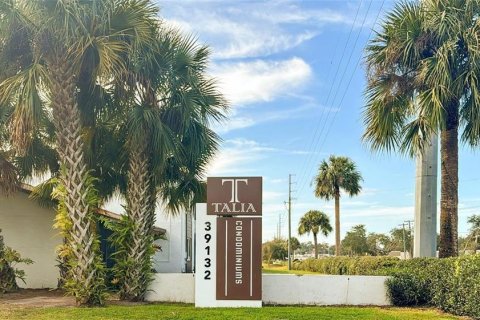 Copropriété à louer à Zephyrhills, Floride: 2 chambres, 80.27 m2 № 2330866 - photo 22