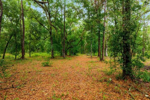 Land in Fort MC Coy, Florida № 1840080 - photo 6
