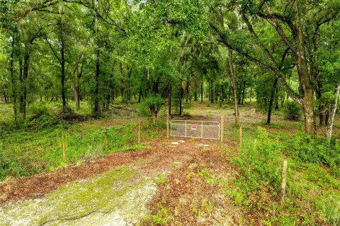 Land in Fort MC Coy, Florida № 1840080 - photo 4