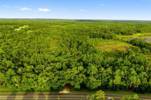 Land in Fort MC Coy, Florida № 1840080 - photo 5