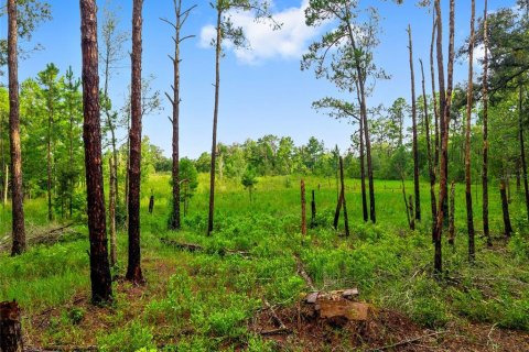Land in Fort MC Coy, Florida № 1840080 - photo 8