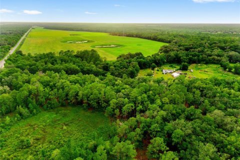 Land in Fort MC Coy, Florida № 1840080 - photo 12