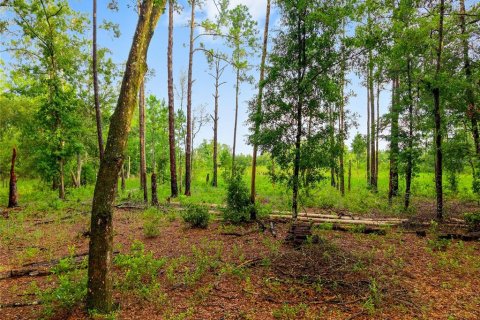 Land in Fort MC Coy, Florida № 1840080 - photo 7