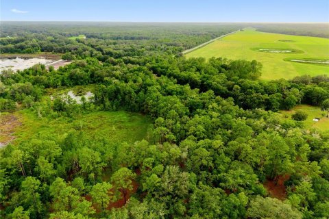Land in Fort MC Coy, Florida № 1840080 - photo 13