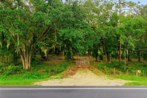 Land in Fort MC Coy, Florida № 1840080 - photo 3