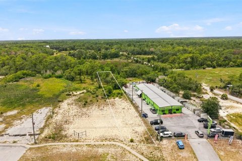 Land in Weeki Wachee, Florida № 2285060 - photo 10