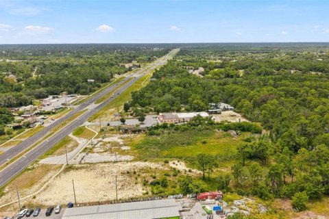 Land in Weeki Wachee, Florida № 2285060 - photo 7