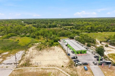 Land in Weeki Wachee, Florida № 2285060 - photo 2