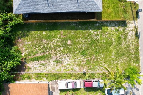 Commercial property in Lake Worth, Florida № 2250213 - photo 14