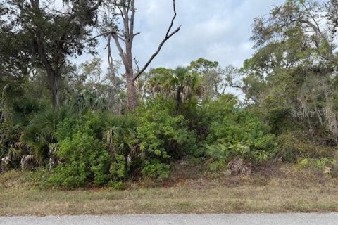 Land in Port Charlotte, Florida № 2165295 - photo 4