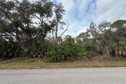 Land in Port Charlotte, Florida № 2165295 - photo 3