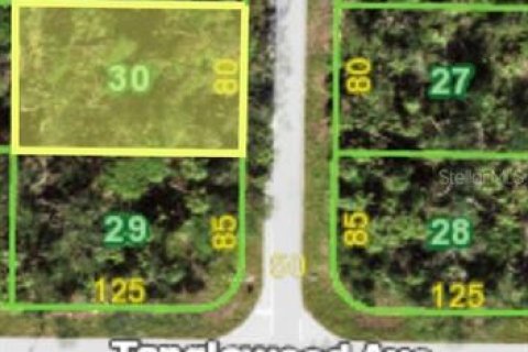 Land in Port Charlotte, Florida № 2165295 - photo 2