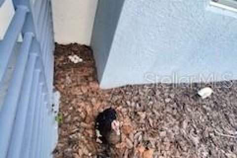 Condo in Kissimmee, Florida, 2 bedrooms  № 1754474 - photo 9
