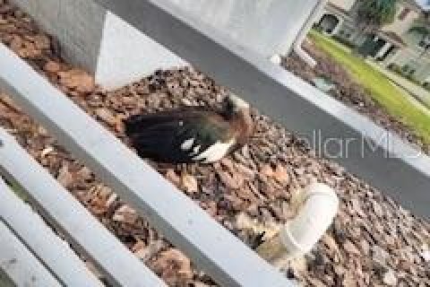 Condo in Kissimmee, Florida, 2 bedrooms  № 1754474 - photo 12