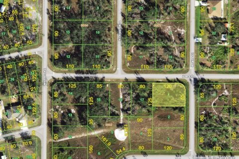 Land in Punta Gorda, Florida № 2159100