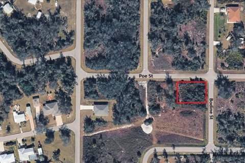Land in Punta Gorda, Florida № 2159100 - photo 2