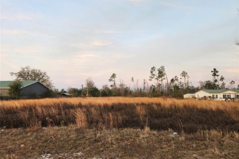 Terrain à Panama City, Floride № 2092997