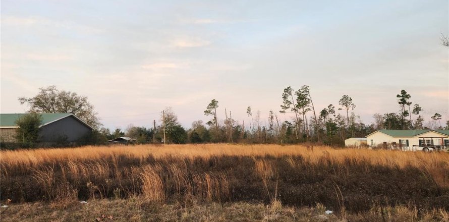 Terrain à Panama City, Floride № 2092997