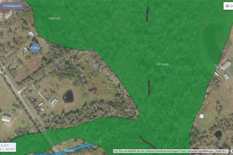 Land in Okeechobee, Florida № 2400375 - photo 2