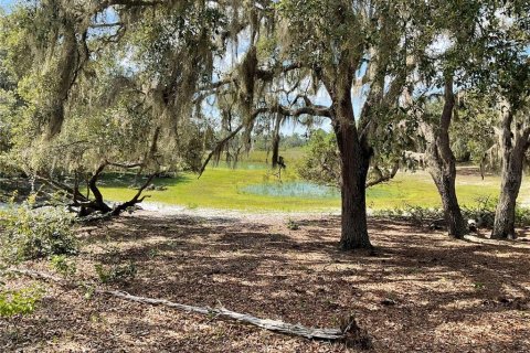 Terrain à vendre à Lake Wales, Floride № 1838837 - photo 5