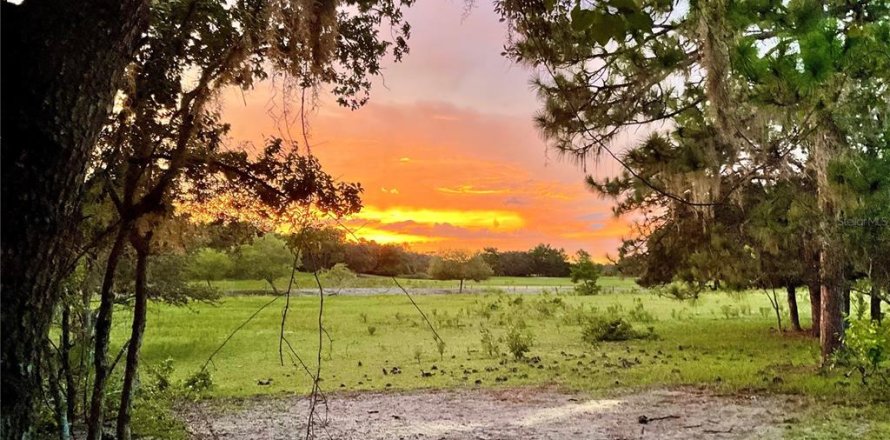 Land in Lake Wales, Florida № 1838837