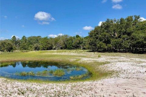 Terrain à vendre à Lake Wales, Floride № 1838837 - photo 3