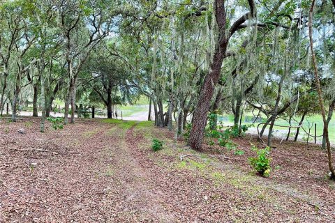 Terrain à vendre à Lake Wales, Floride № 1838837 - photo 23