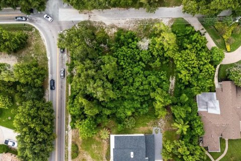 Land in Windermere, Florida № 1808255 - photo 4