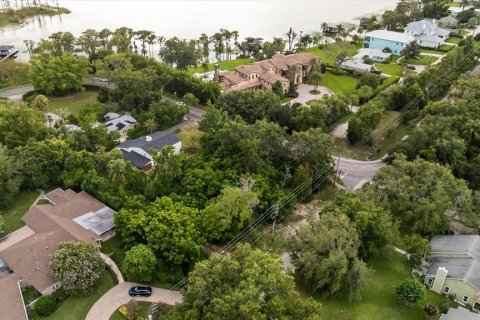 Land in Windermere, Florida № 1808255 - photo 6