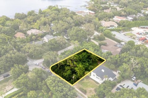 Land in Windermere, Florida № 1808255 - photo 9