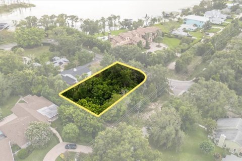 Land in Windermere, Florida № 1808255 - photo 8