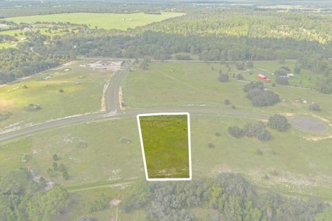House in Umatilla, Florida 3 bedrooms, 234.76 sq.m. № 1382333 - photo 20