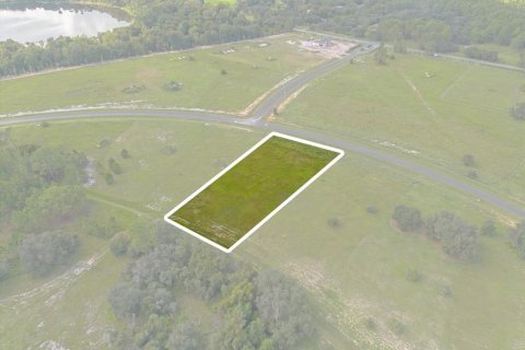 House in Umatilla, Florida 3 bedrooms, 234.76 sq.m. № 1382333 - photo 18