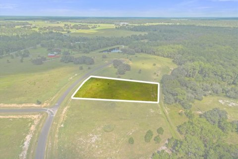 House in Umatilla, Florida 3 bedrooms, 234.76 sq.m. № 1382333 - photo 24