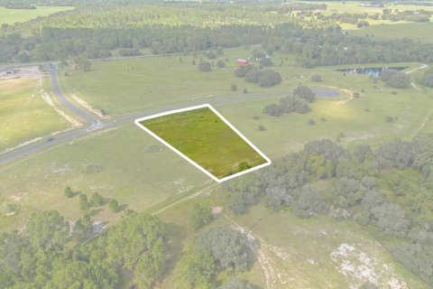 House in Umatilla, Florida 3 bedrooms, 234.76 sq.m. № 1382333 - photo 22