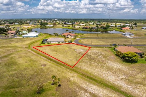 Land in Punta Gorda, Florida № 2097433 - photo 17
