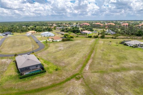 Land in Punta Gorda, Florida № 2097433 - photo 4
