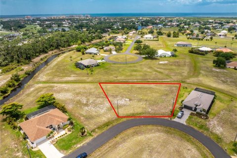 Land in Punta Gorda, Florida № 2097433 - photo 5