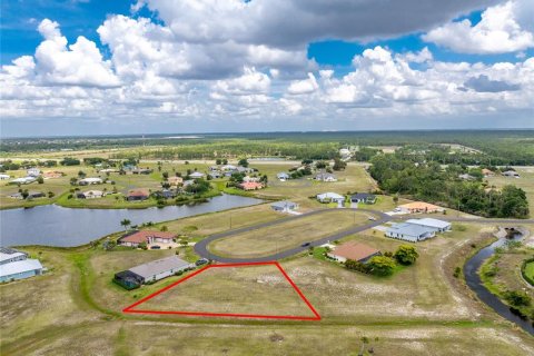 Land in Punta Gorda, Florida № 2097433 - photo 9