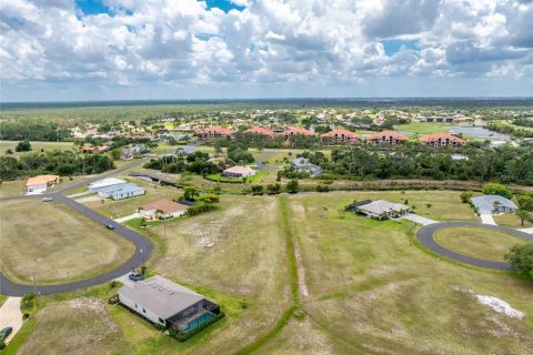 Land in Punta Gorda, Florida № 2097433 - photo 16