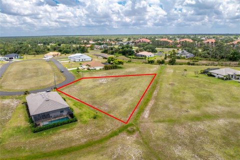 Land in Punta Gorda, Florida № 2097433 - photo 3